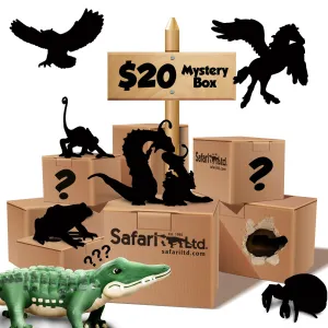 $20 Mystery Box