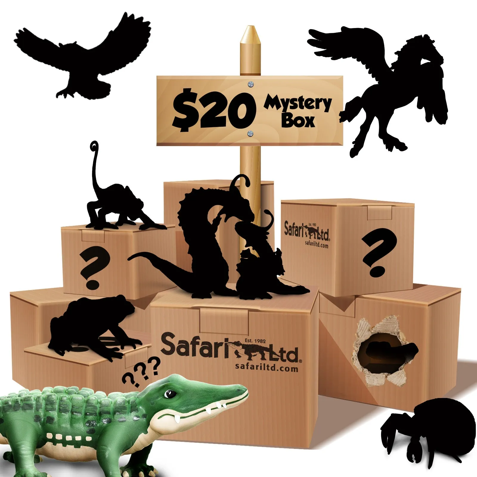 $20 Mystery Box