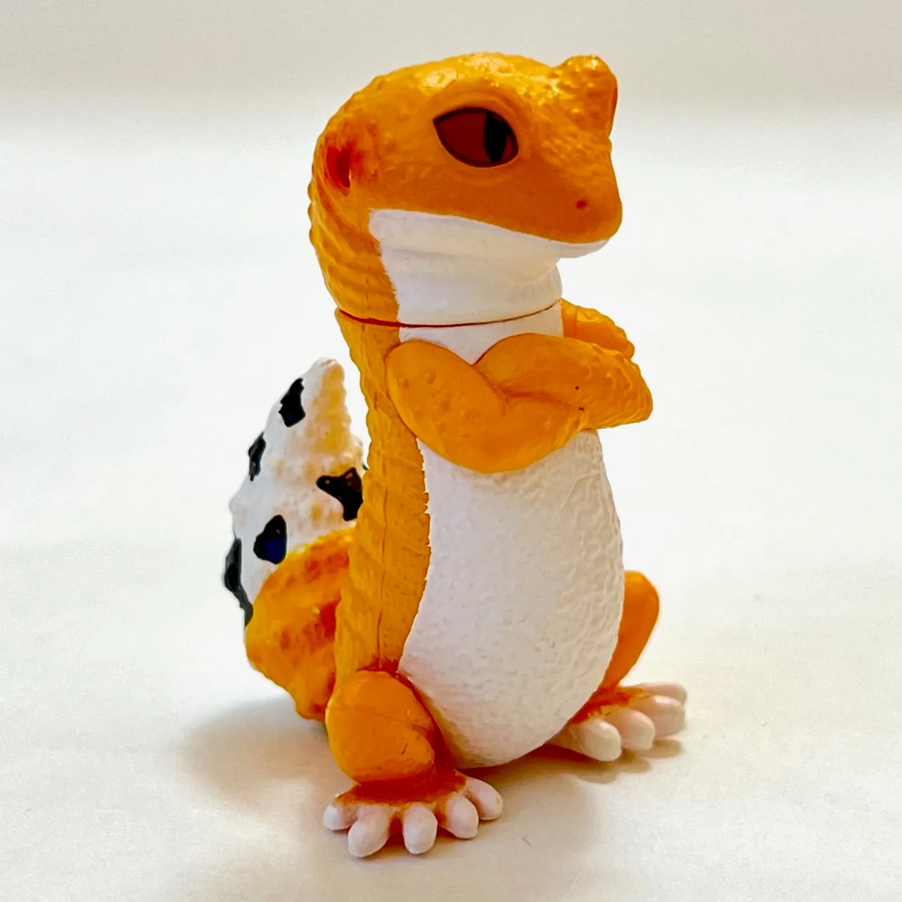 70778 Attitude Amphibians & Lizards Blind Box-10
