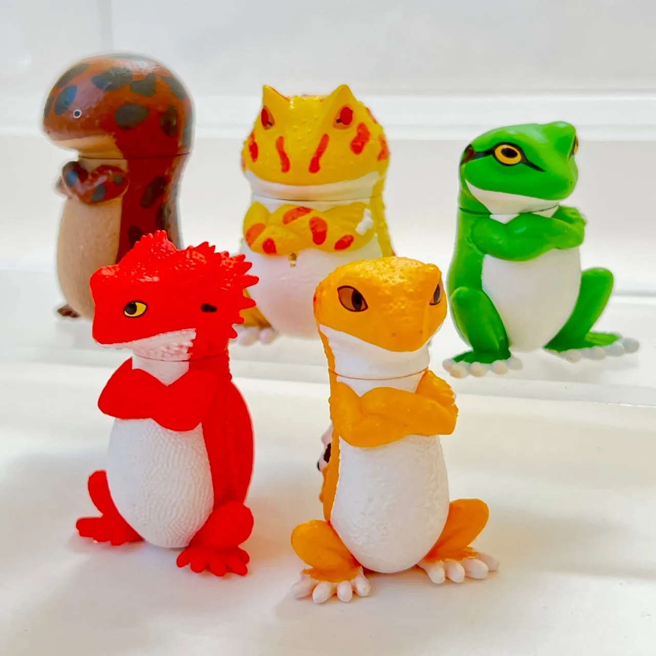 70778 Attitude Amphibians & Lizards Blind Box-10