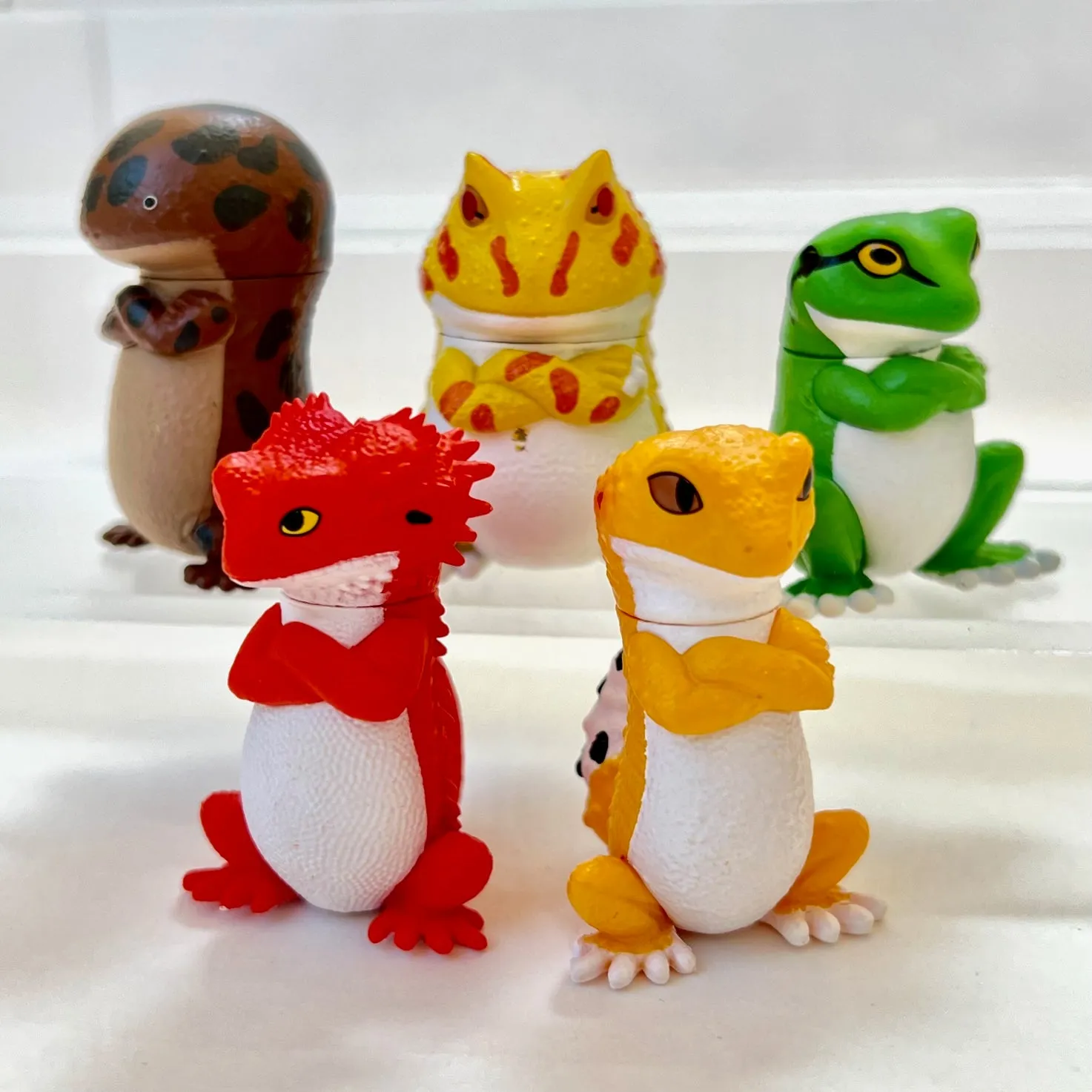 70778 Attitude Amphibians & Lizards Blind Box-10