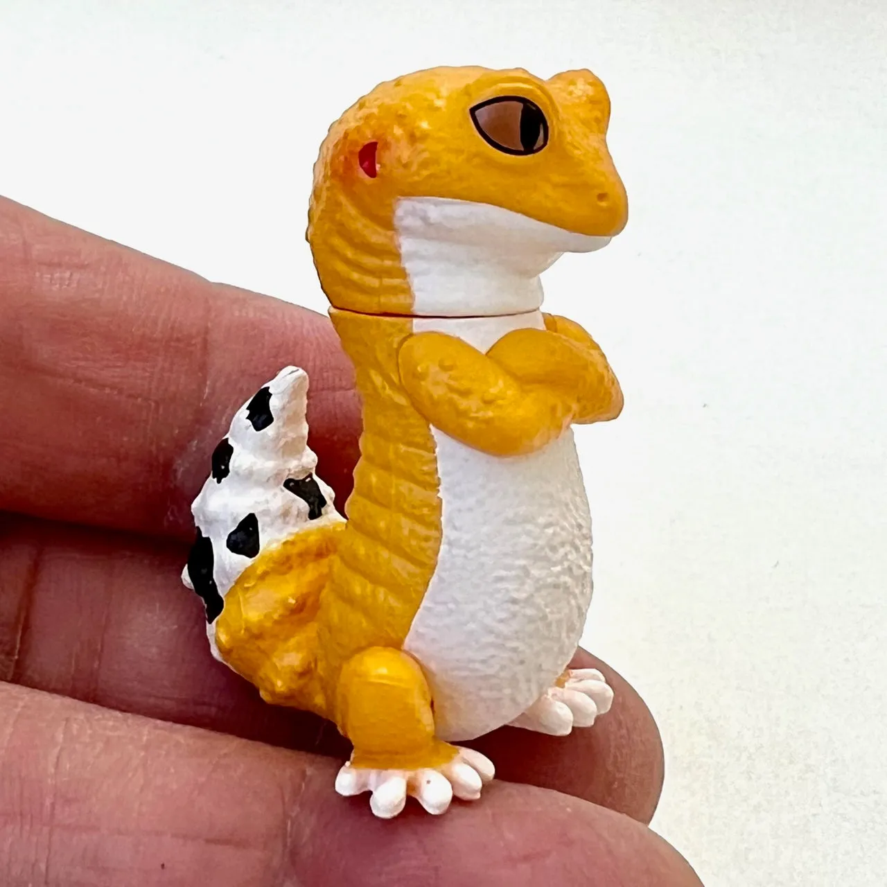 70778 Attitude Amphibians & Lizards Blind Box-10