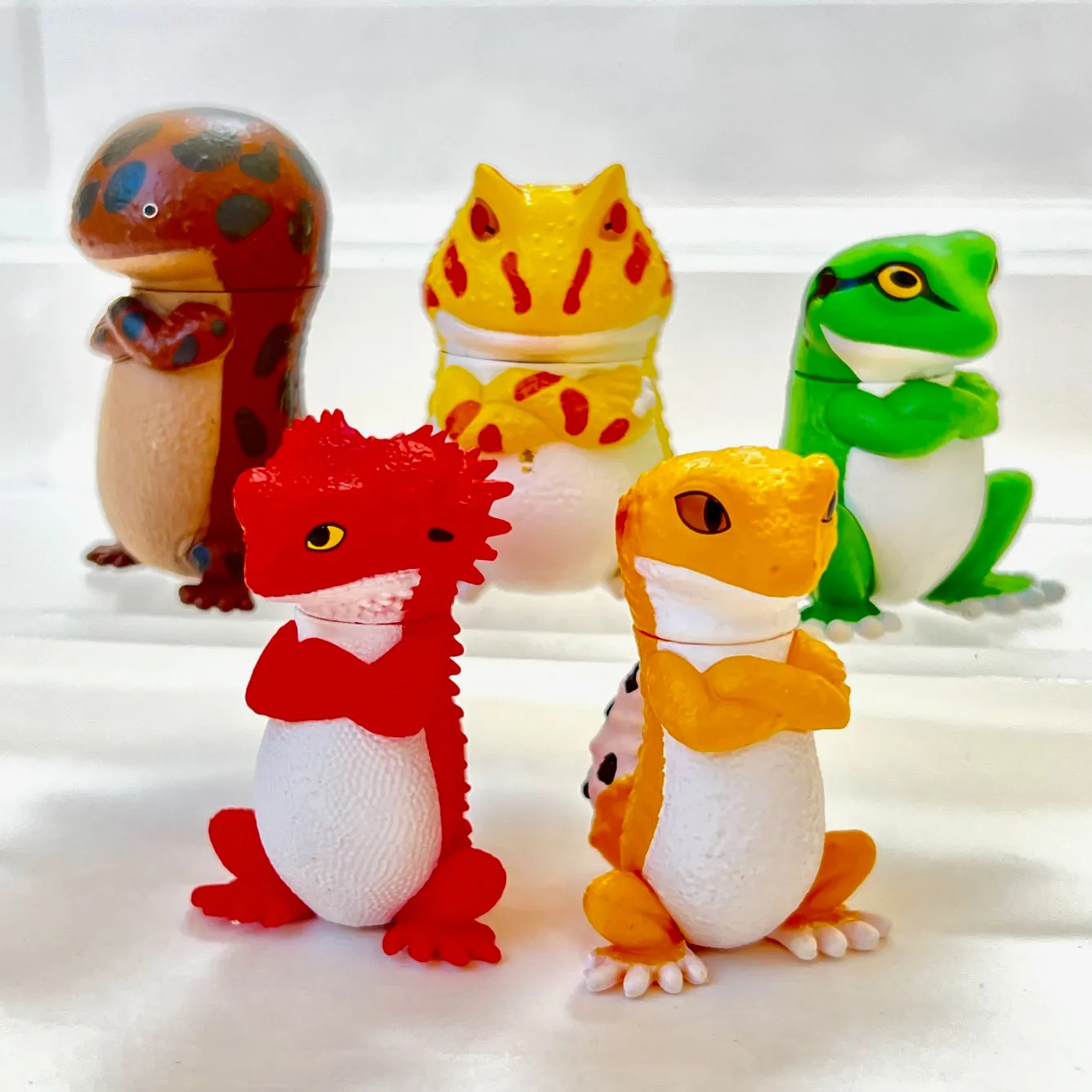 70778 Attitude Amphibians & Lizards Blind Box-10