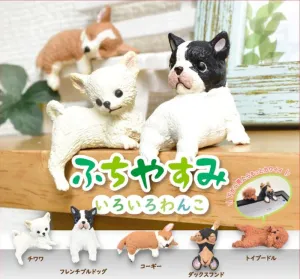 BLIND BOXES: DOGS RESTING ON THE EDGE
