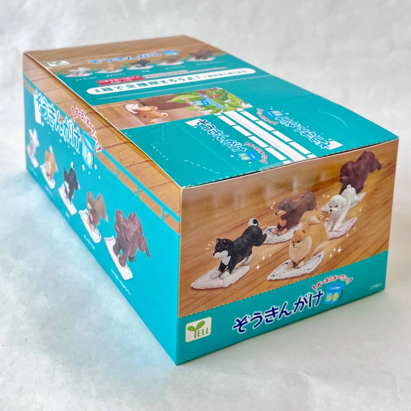 Cleaning Dogs Surprise Box