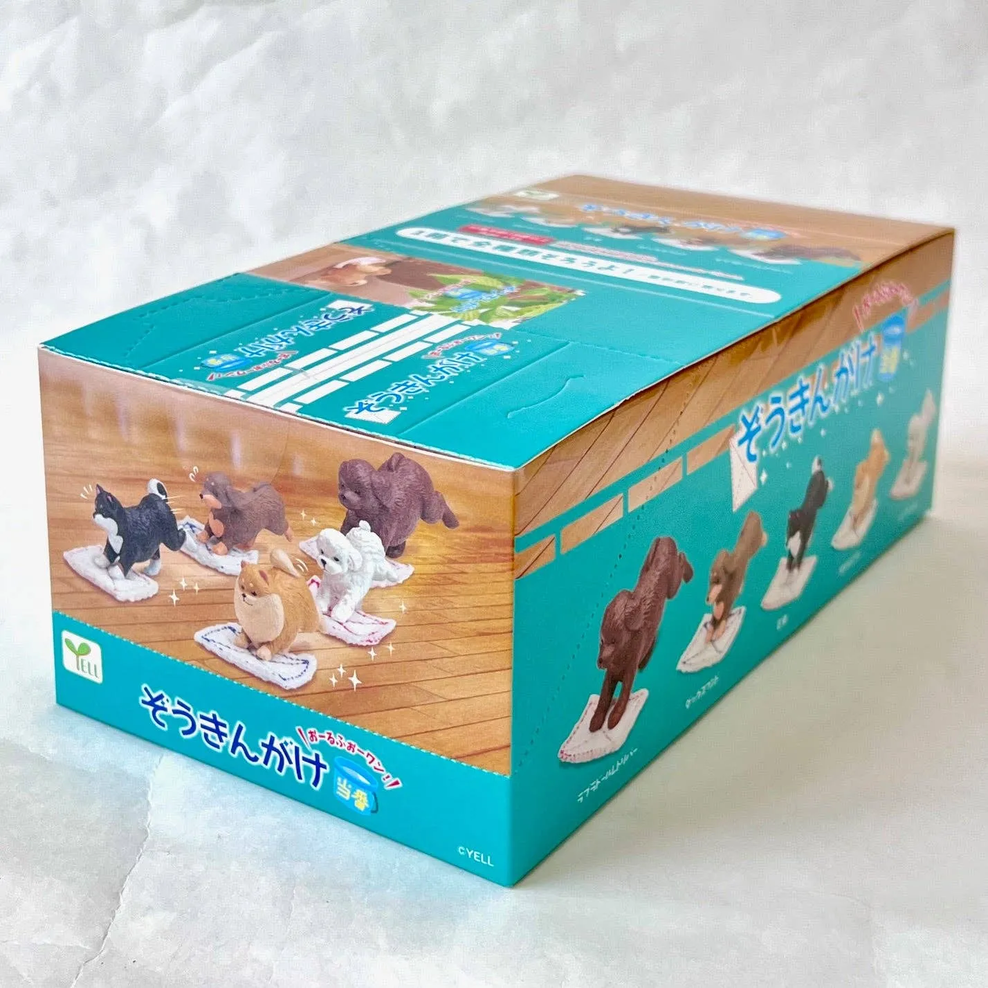 Cleaning Dogs Surprise Box