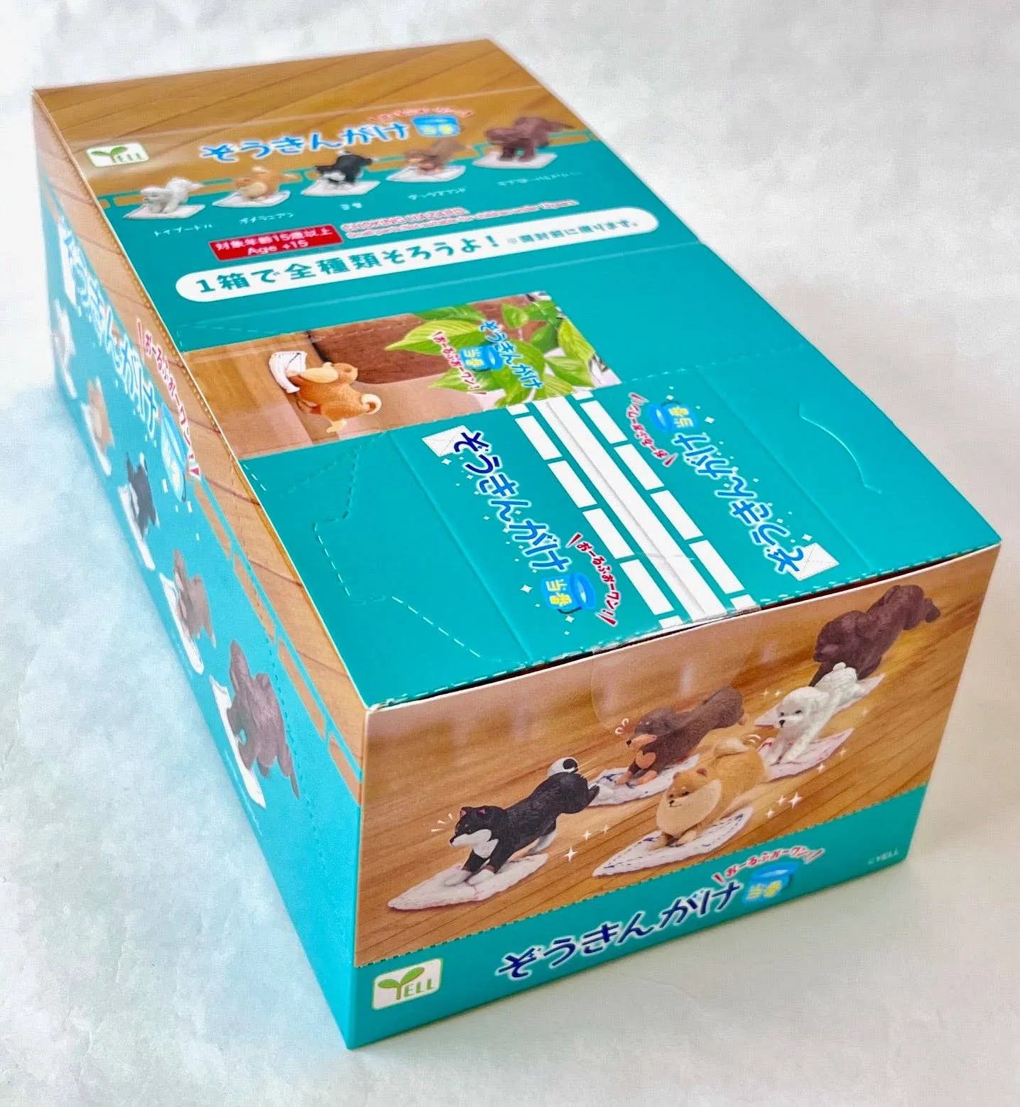 Cleaning Dogs Surprise Box