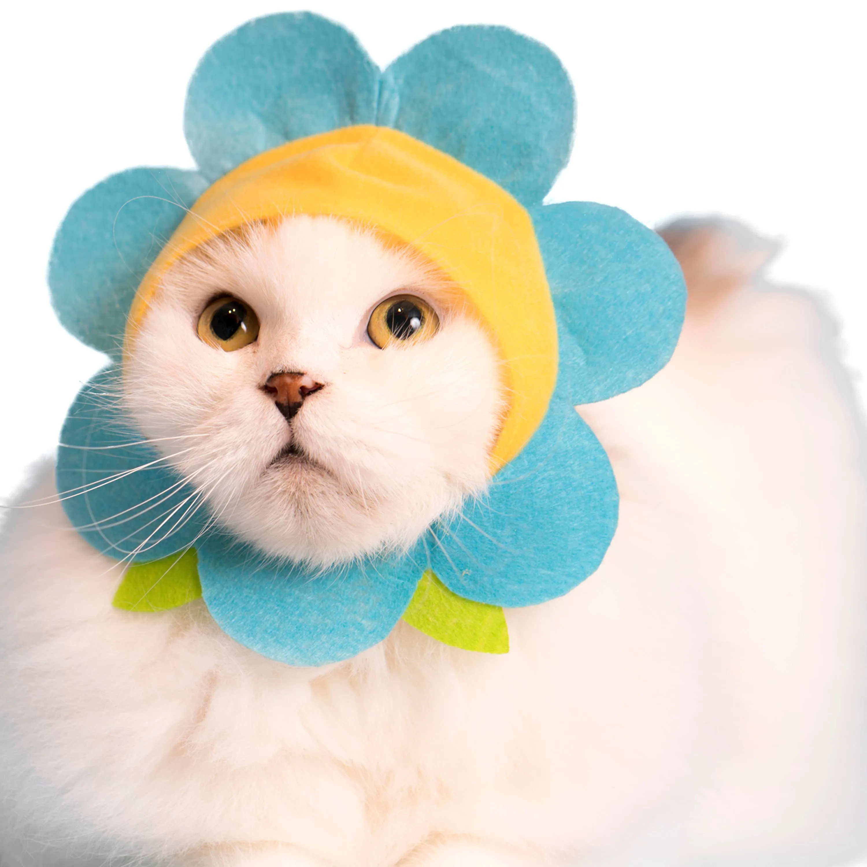 Flower Cap for Cats (Surprise Box)