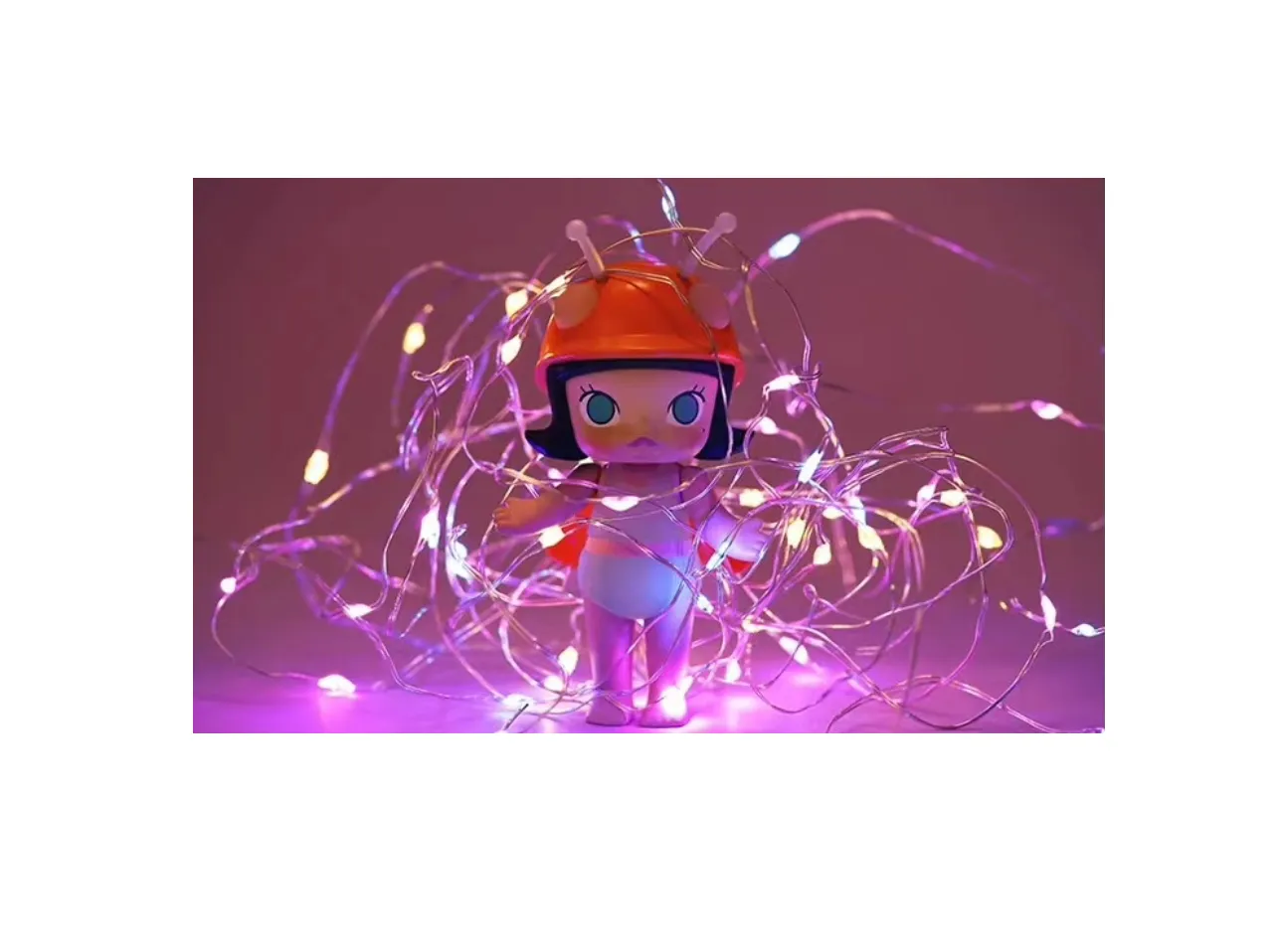 Molly Bugs