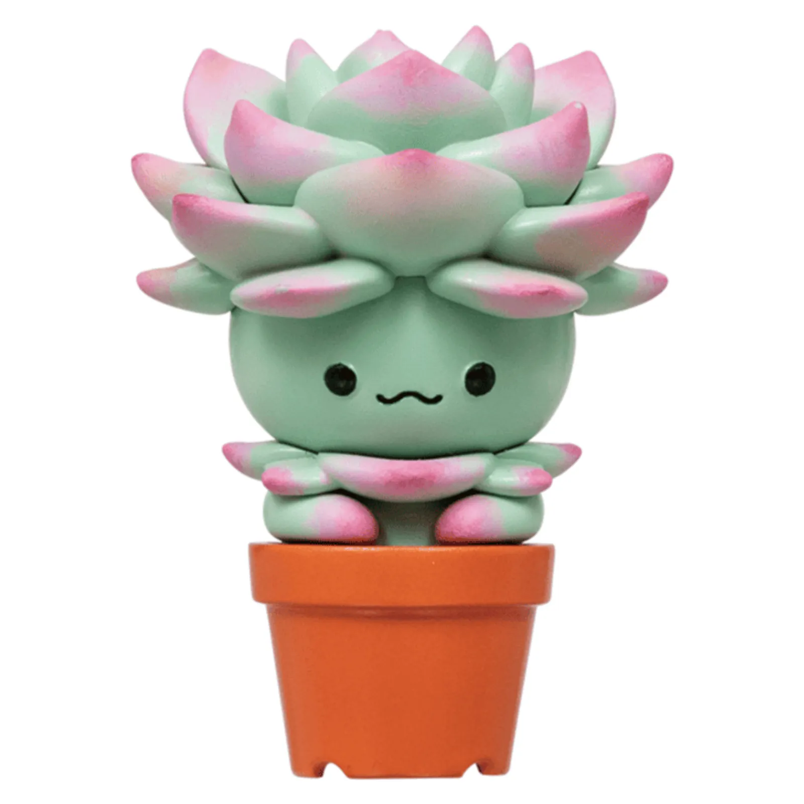 Succulent Friends Blind Box