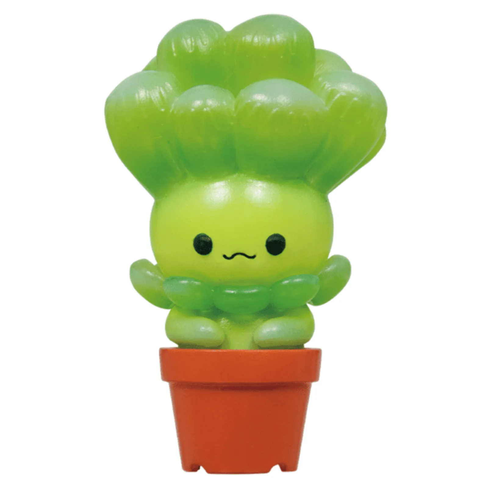 Succulent Friends Blind Box