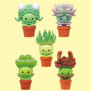 Succulent Friends Blind Box