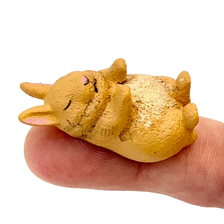 X 70750 Sleepy Animals BLIND BOX-DISCONTINUED